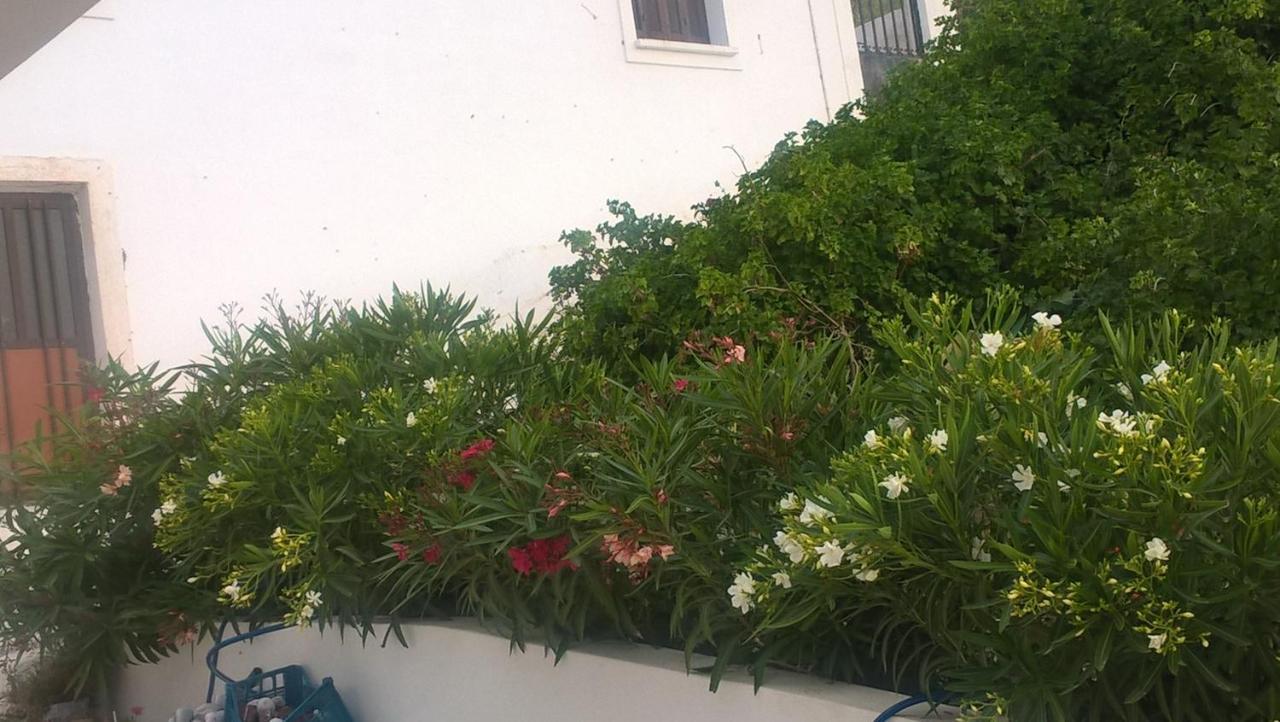 Gyrouli 1 Διαμέρισμα Πέρα Γυαλός Εξωτερικό φωτογραφία
